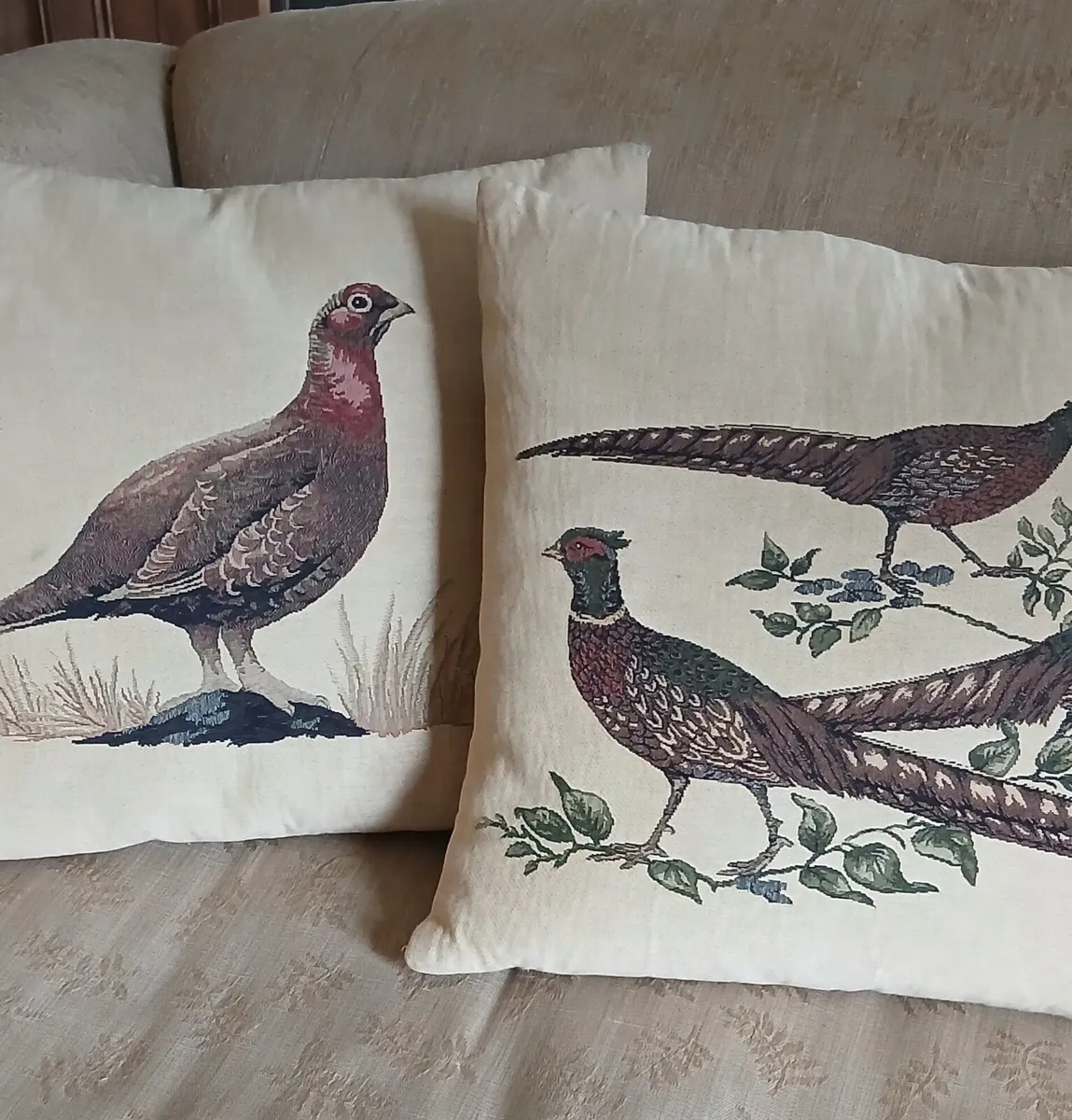 Cushions Pair - Image 1