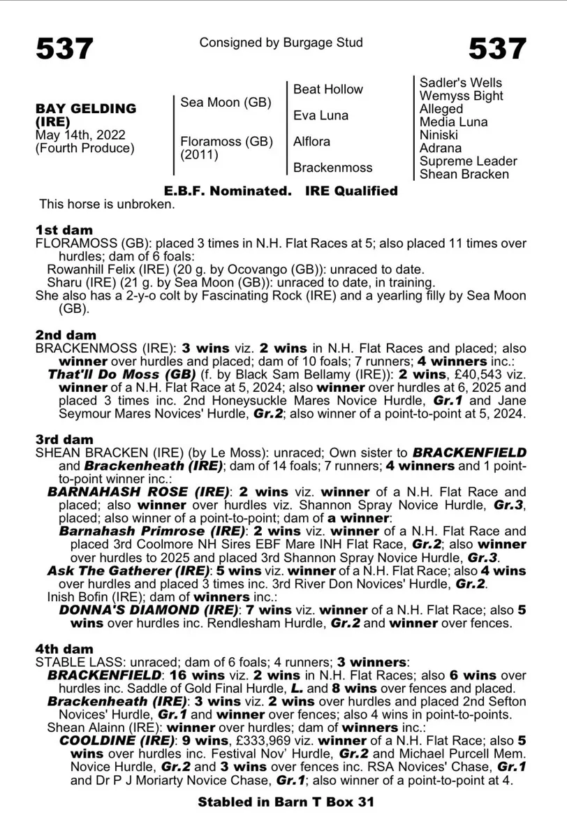 NH Thoroughbred broodmare with Colt Foal - Image 4