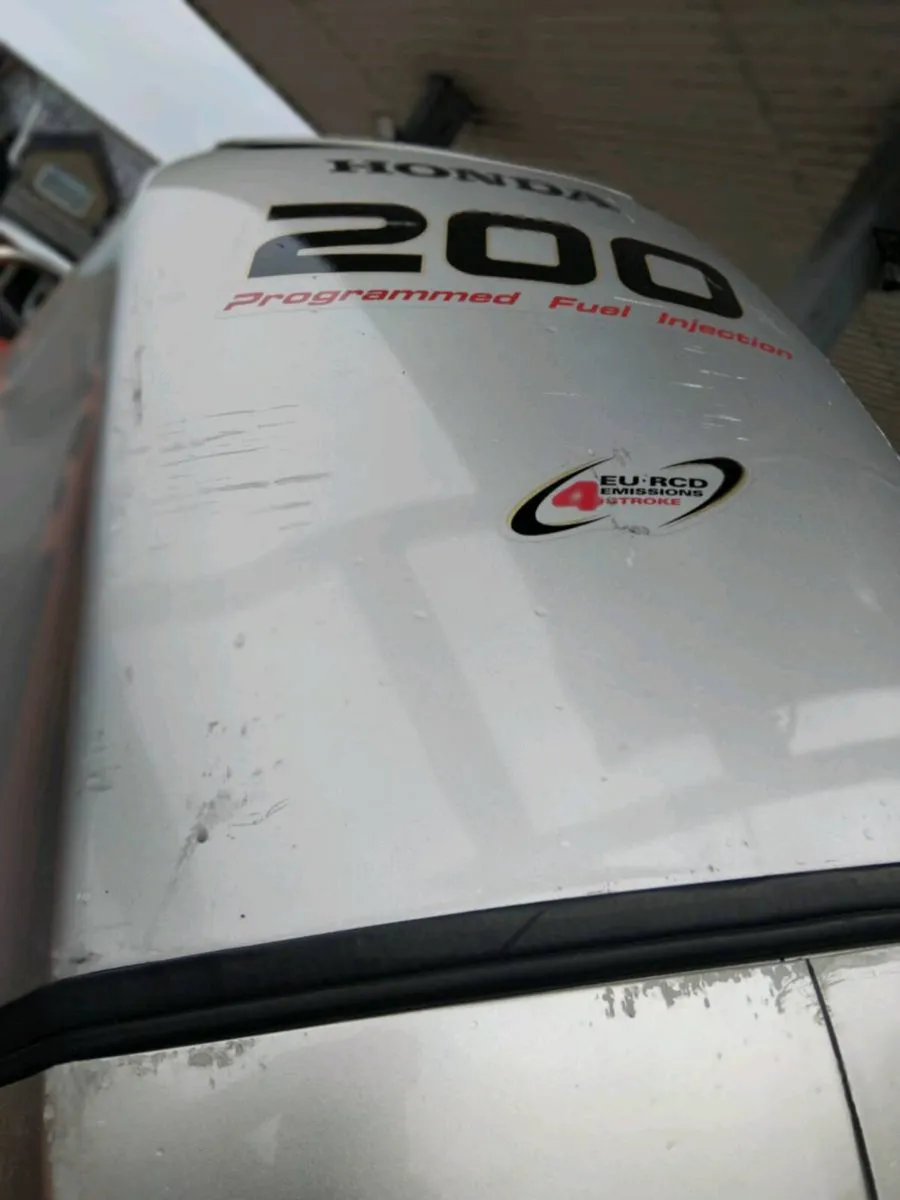 6.5M REDBAY RIB - Image 2