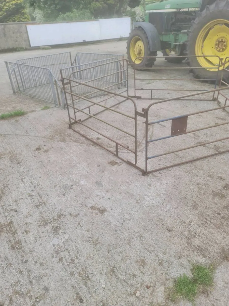 Sheep penning - Image 2