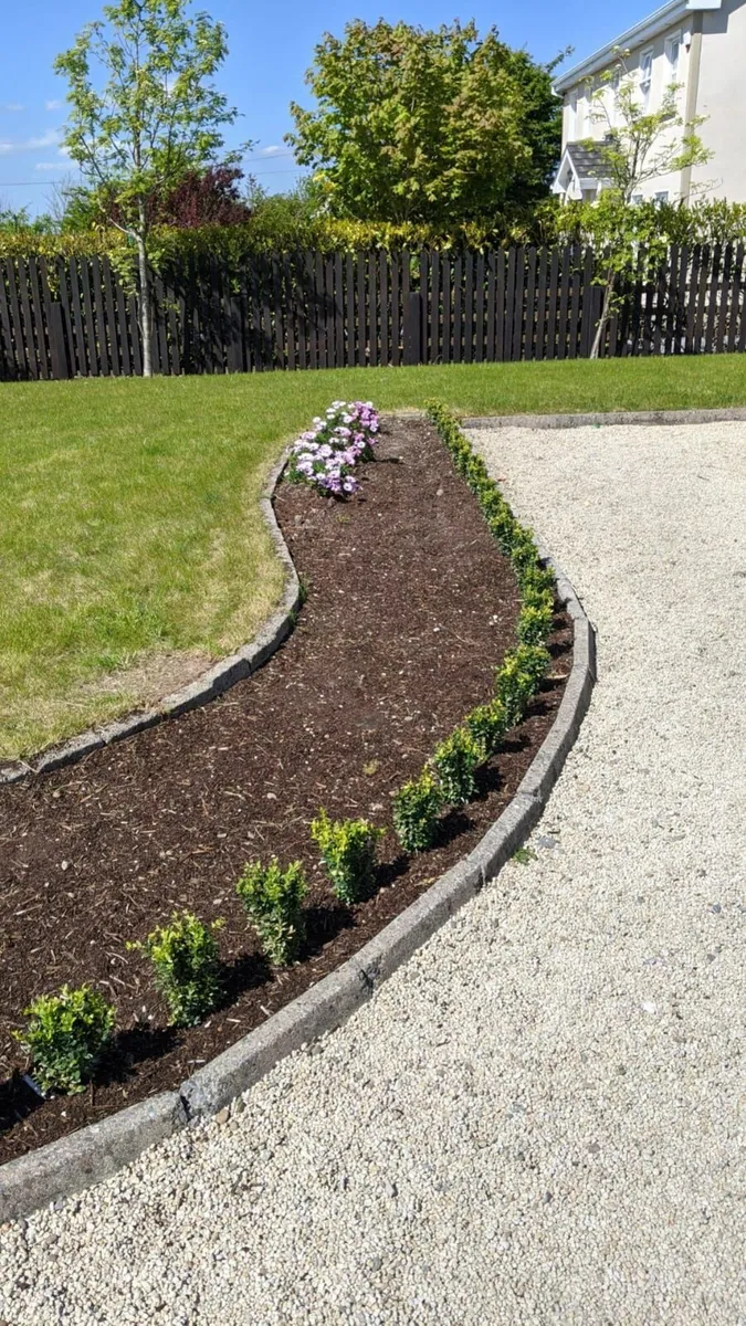 Box Hedging - Image 3