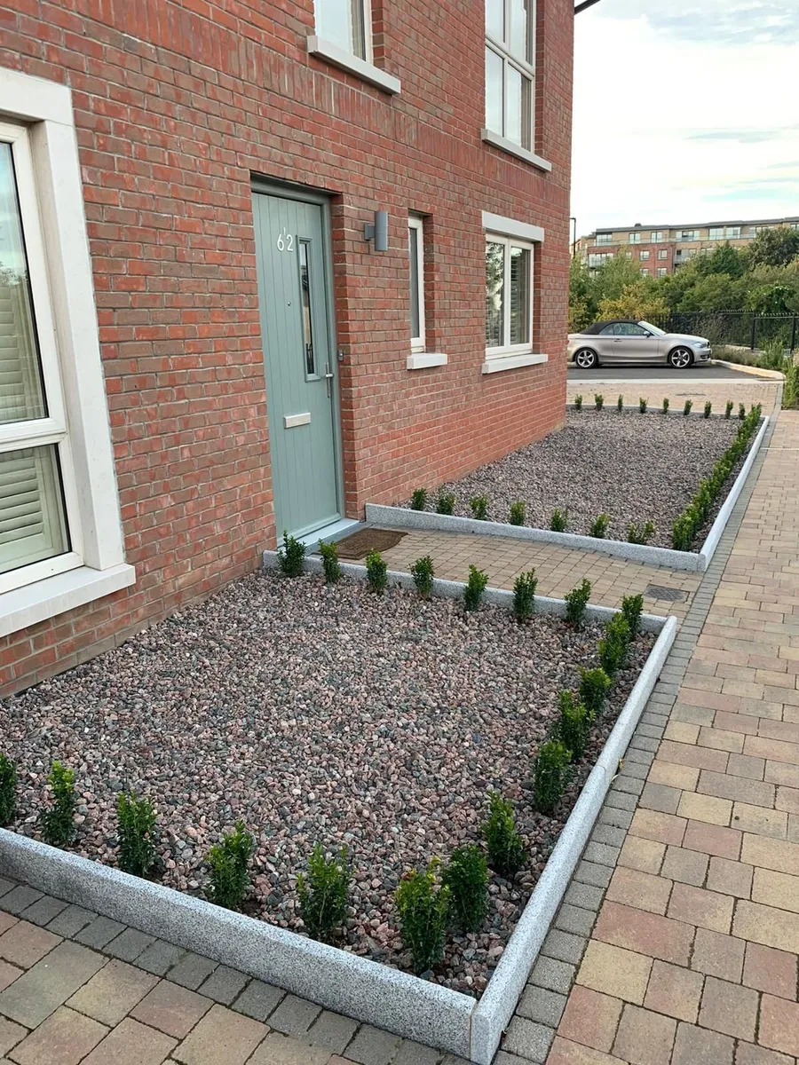 Box Hedging - Image 2