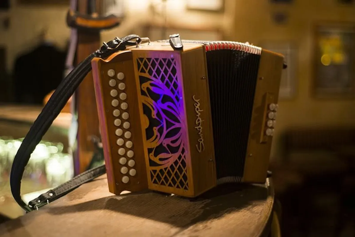 Sandpiper Dunlin D/G melodeon - Image 1