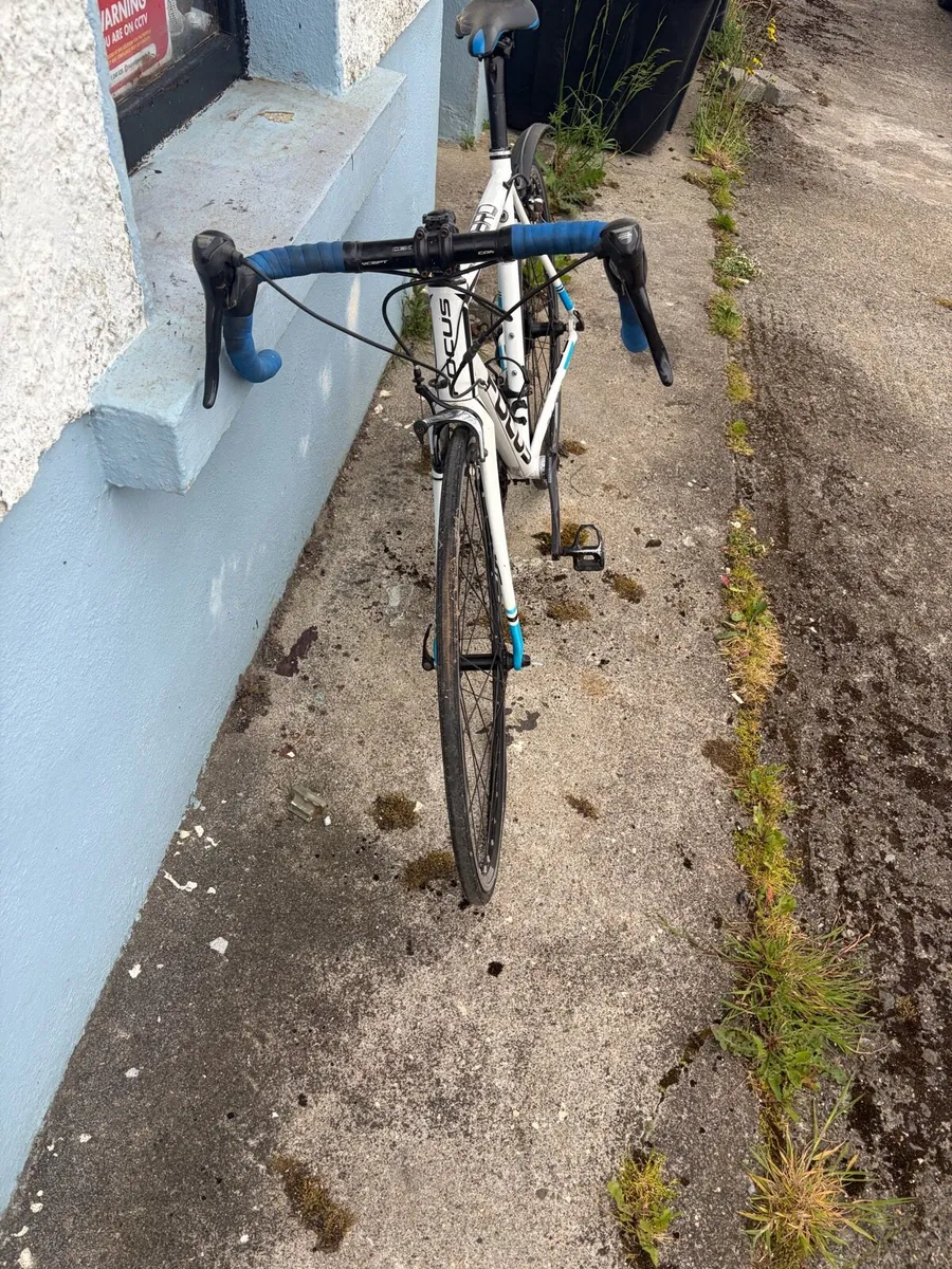 Carbon race bike - Image 4