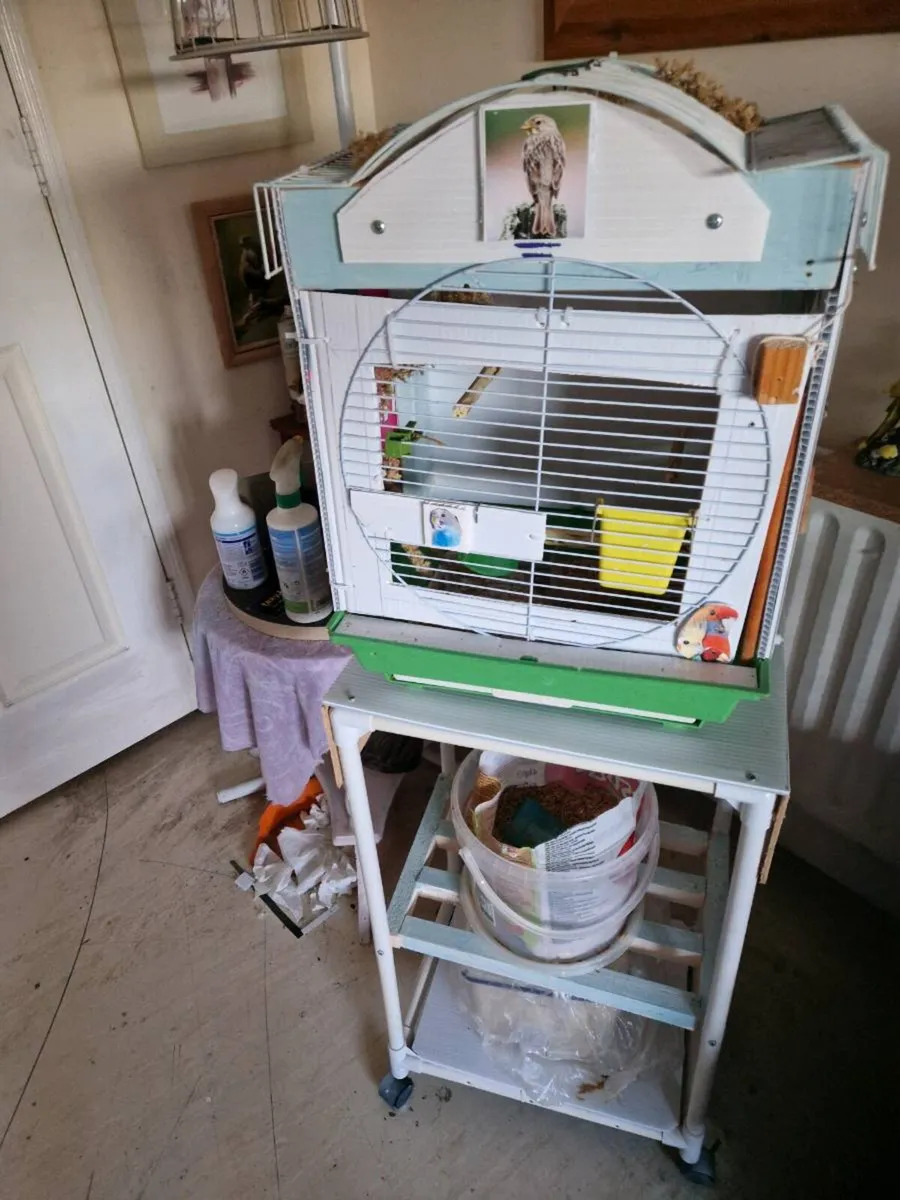 Bird .cage  .food nest box. - Image 2