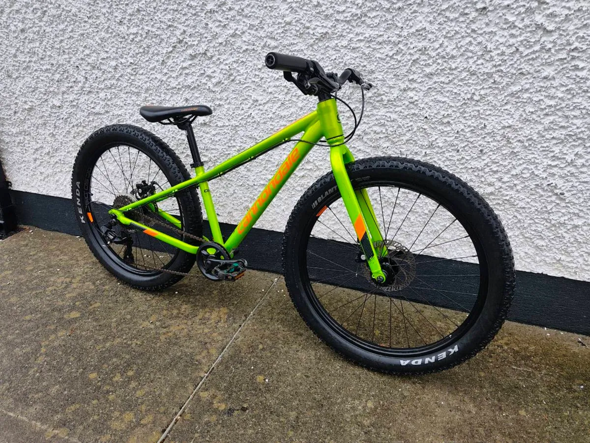 Bicycle - Image 1