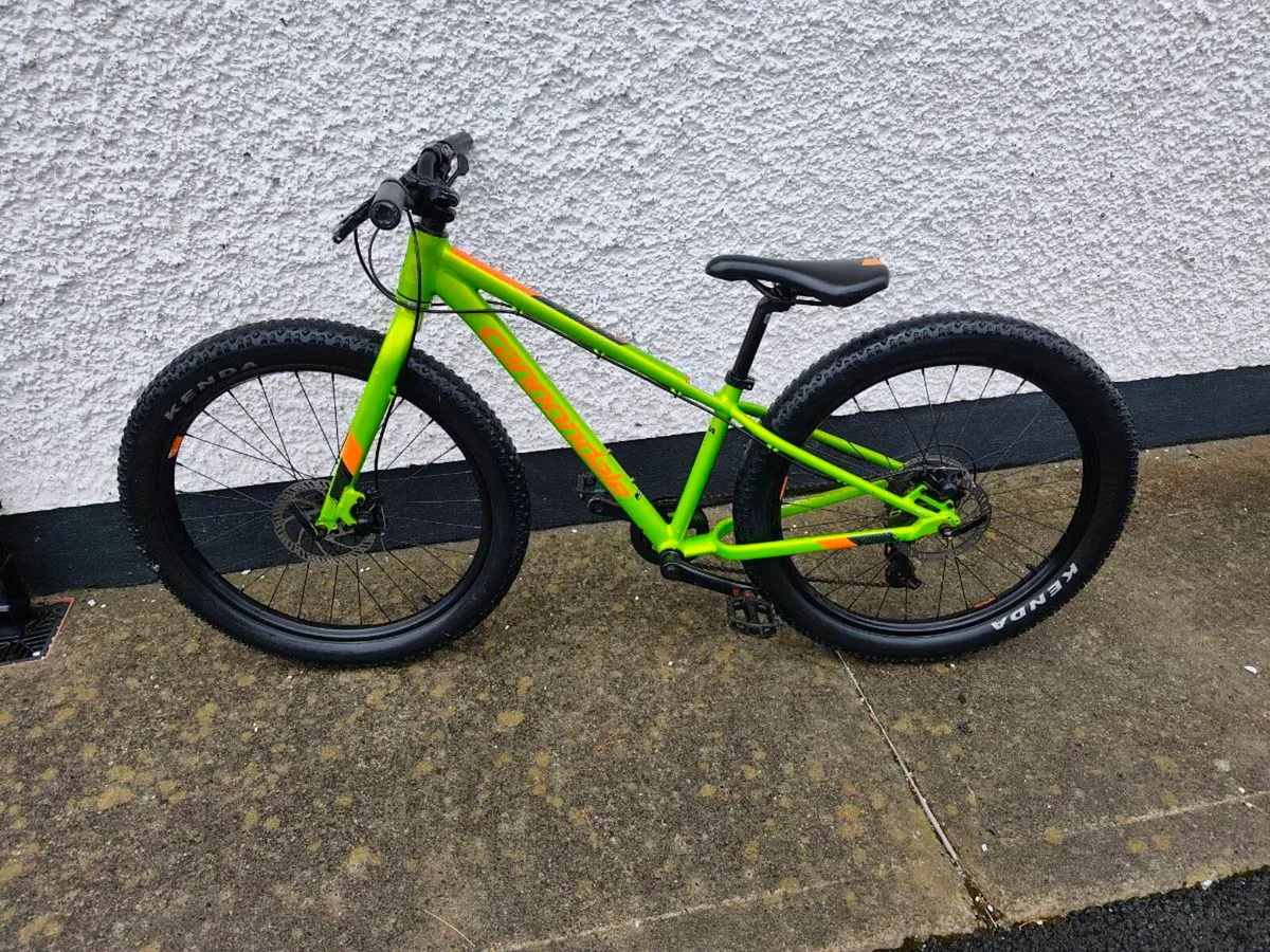 Bicycle - Image 4