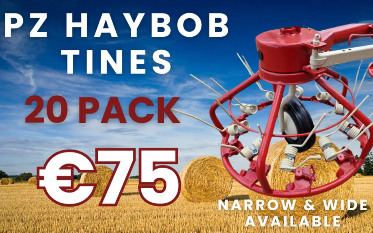 PZ Haybob Tine Deals (20 Pack) - Image 1