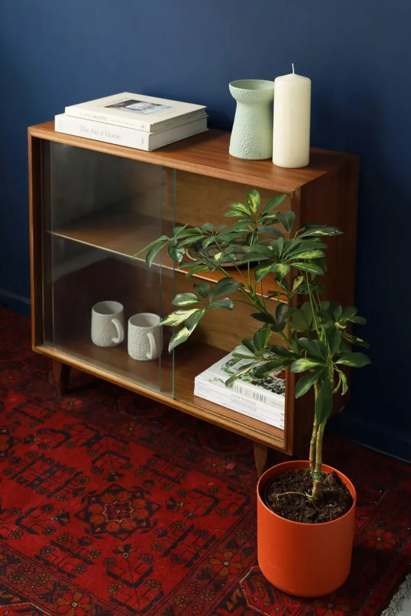 Glazed Mid Century Side Cabinet - Image 4