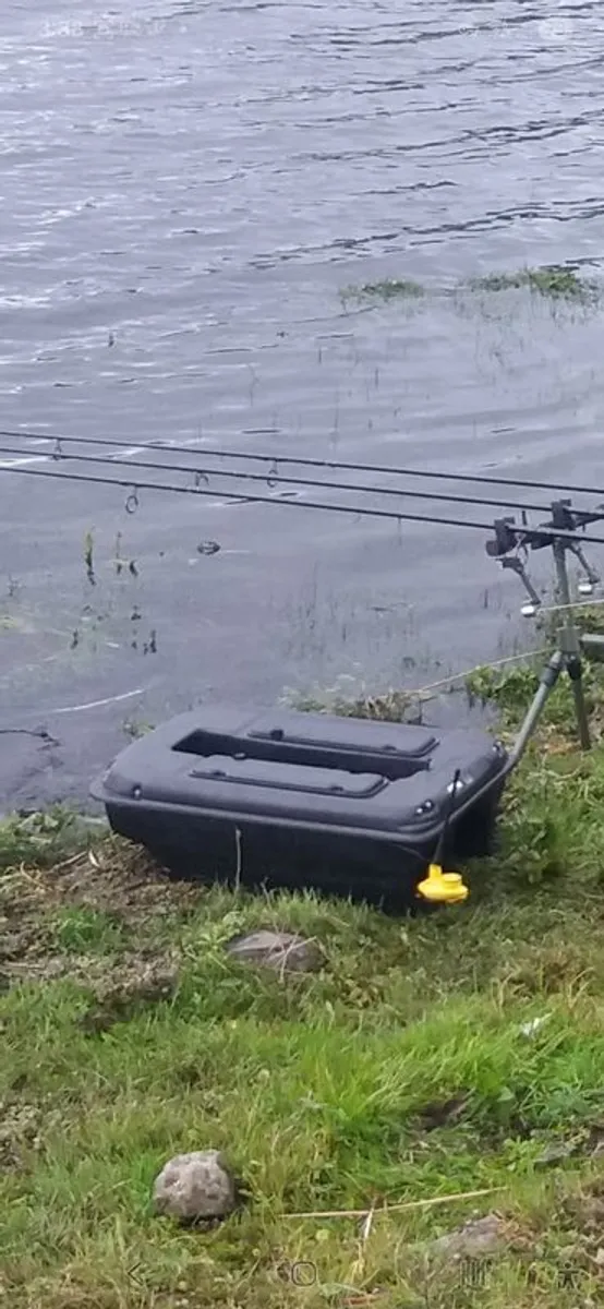 Fishing - Image 1