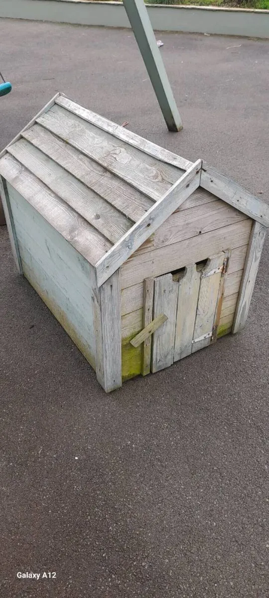 Cat or dog house