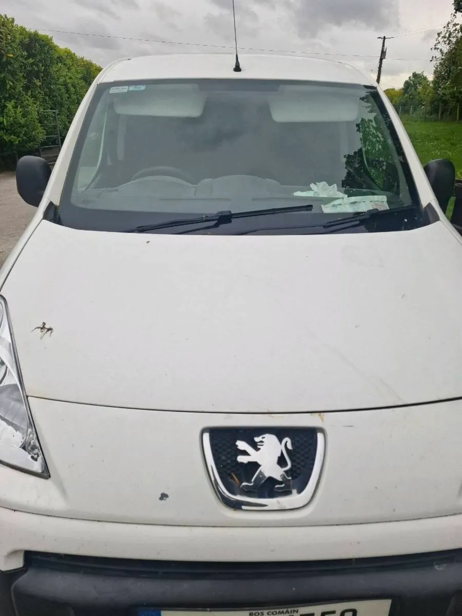 Pejouth  partner  van - Image 2