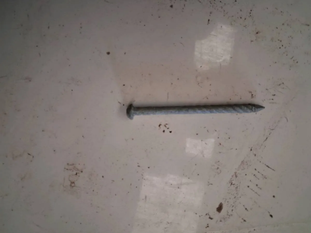 Galvanised nails - Image 2