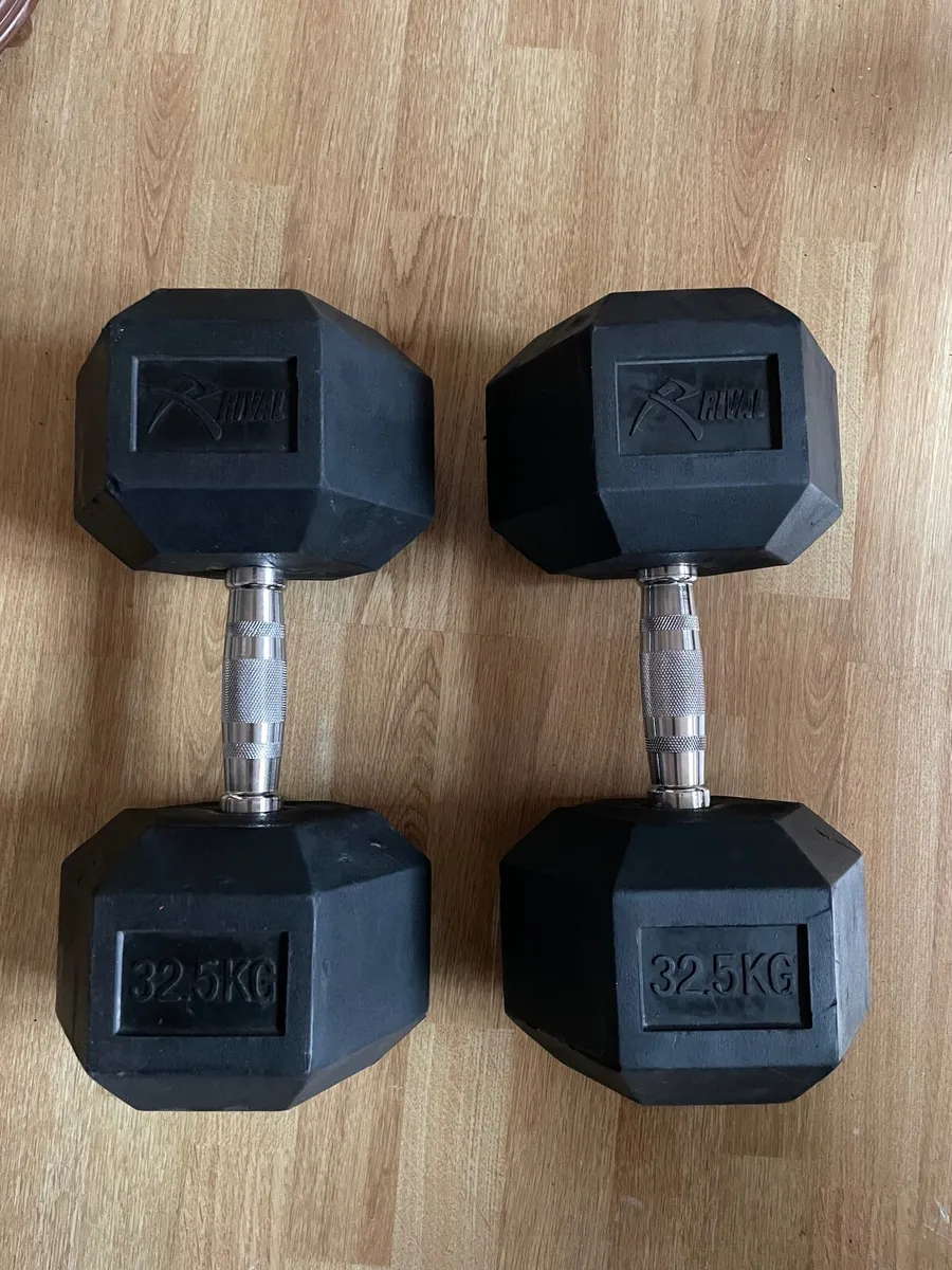 32.5kg dumbbells