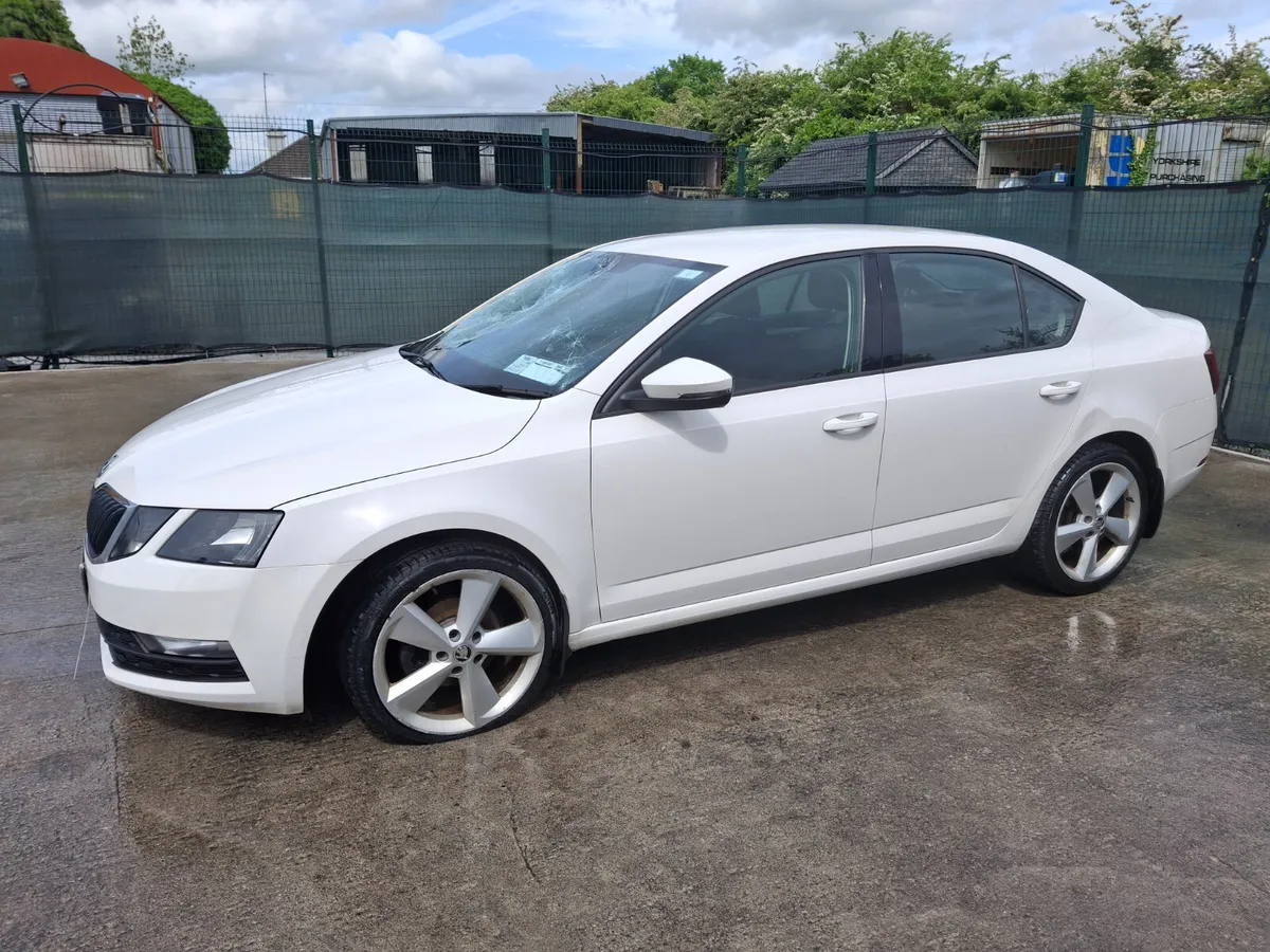 2019 Skoda Octavia  Ambition  1.6 Tdi - Image 3