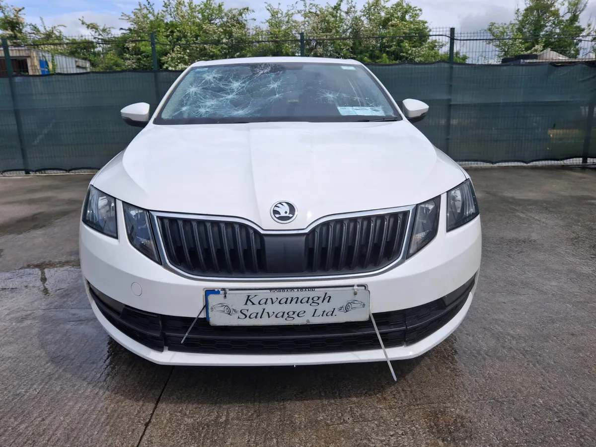 2019 Skoda Octavia  Ambition  1.6 Tdi - Image 4