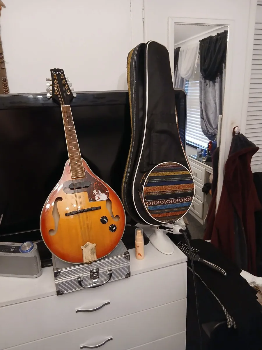 Electric  mandolin - Image 1