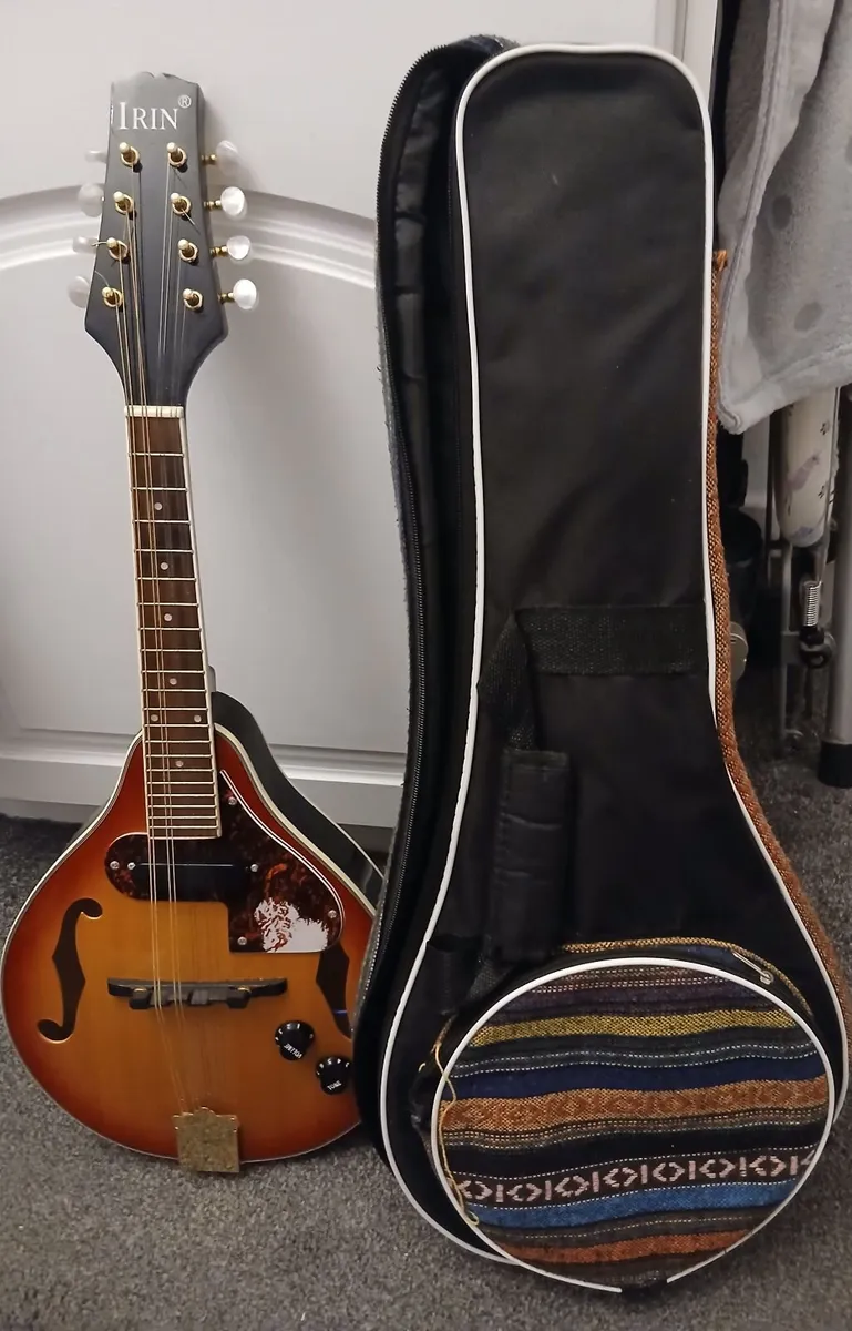 Electric  mandolin - Image 4