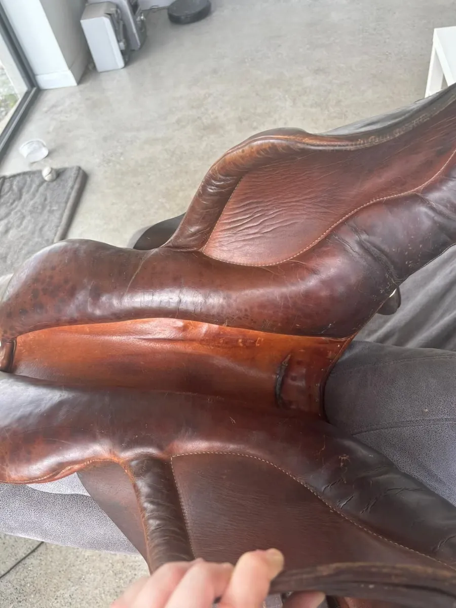 Saddle - Image 2
