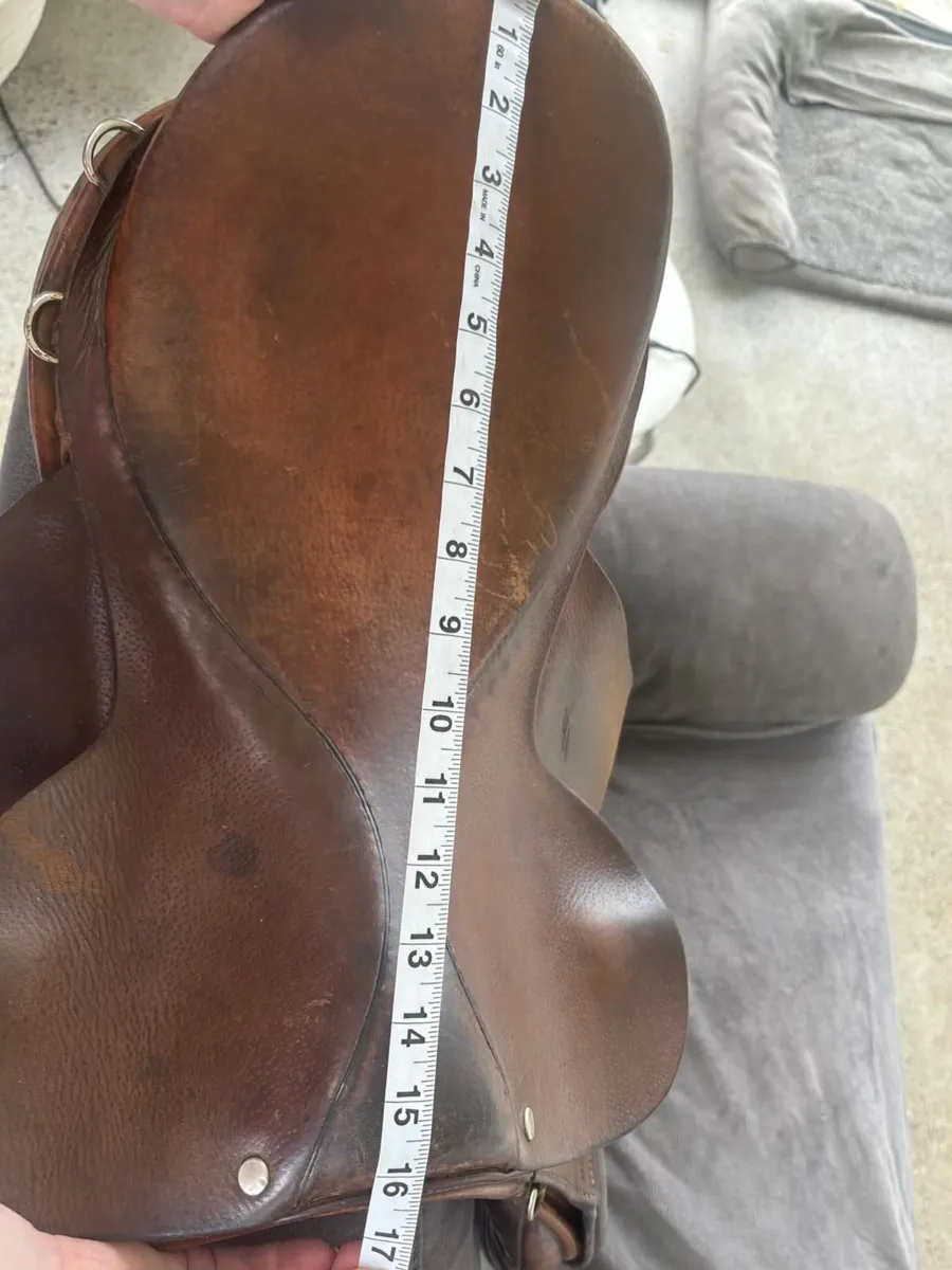 Saddle - Image 3