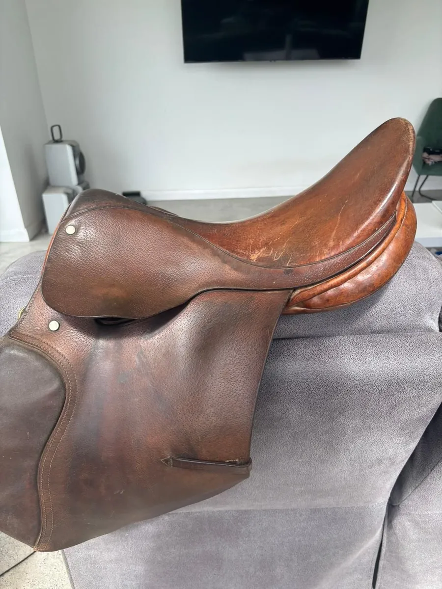 Saddle - Image 1