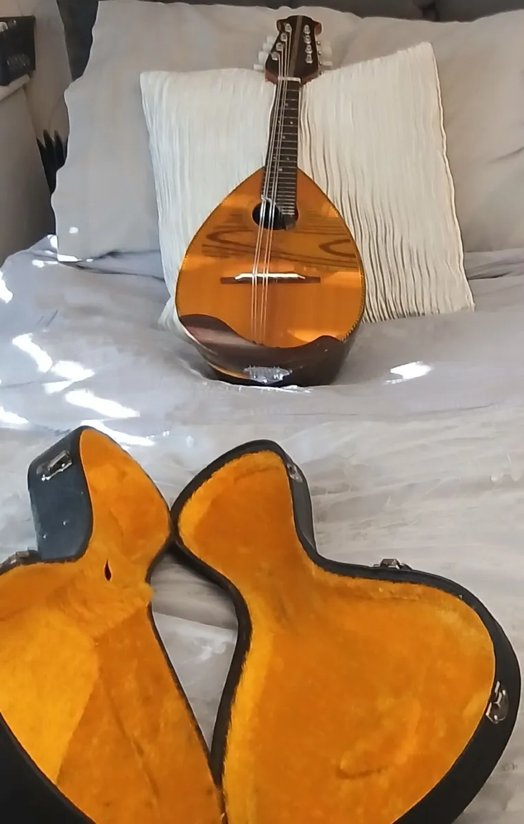 Mandolin - Image 3