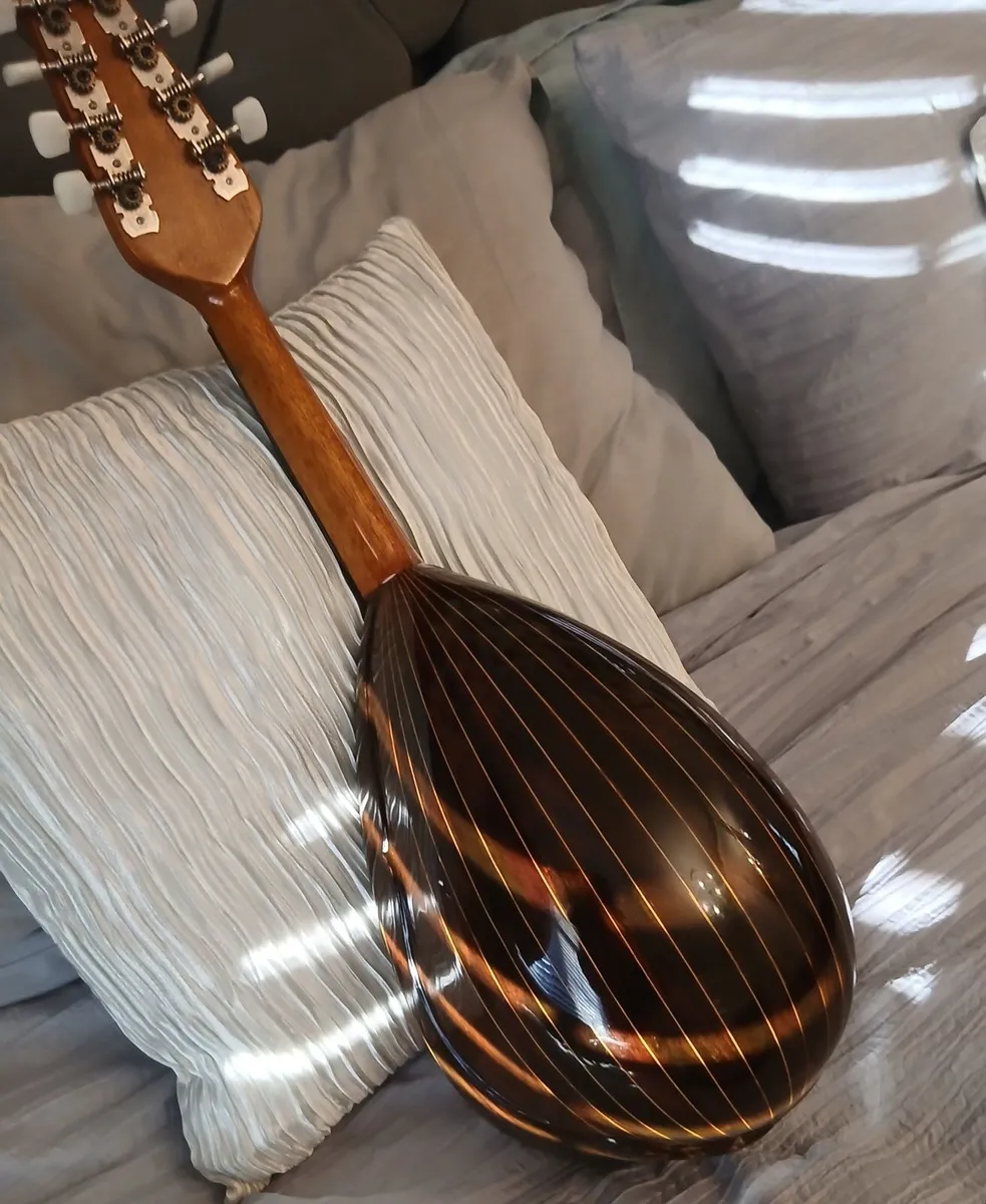 Mandolin - Image 4