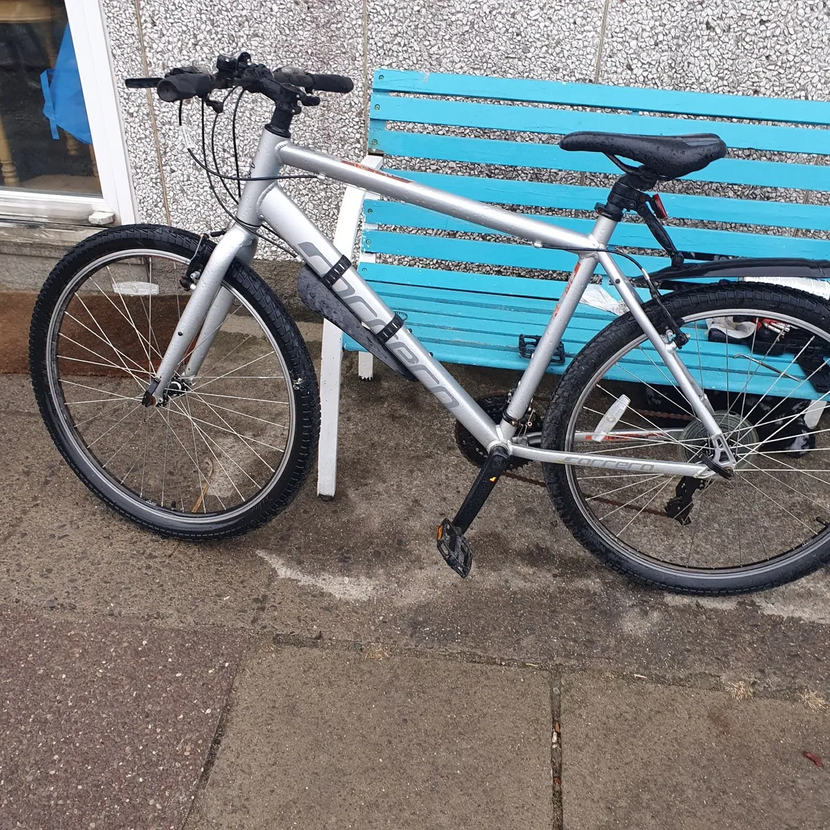 Carerra parva bike - Image 1