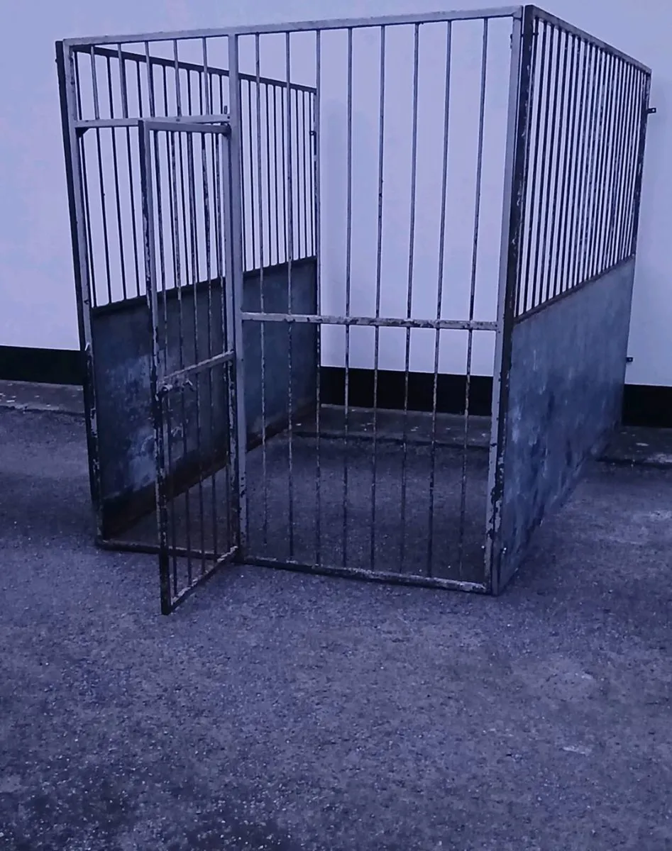 Steel Dog Pen / Dog Run - Image 1
