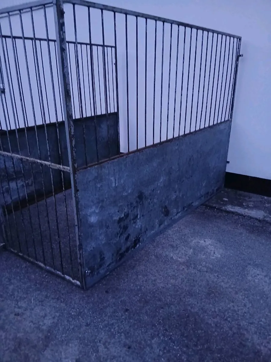 Steel Dog Pen / Dog Run - Image 3