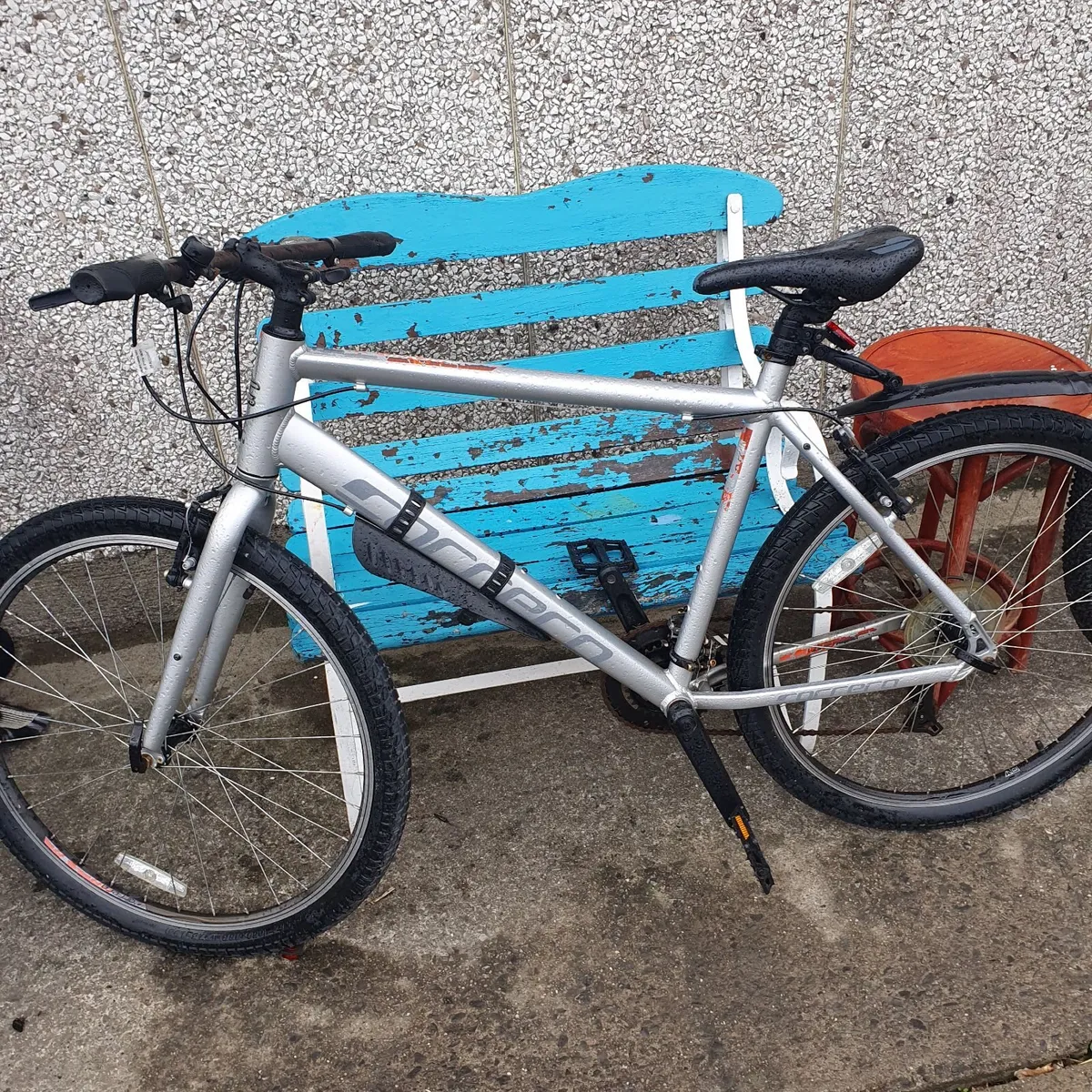 Carerra parva bike - Image 2