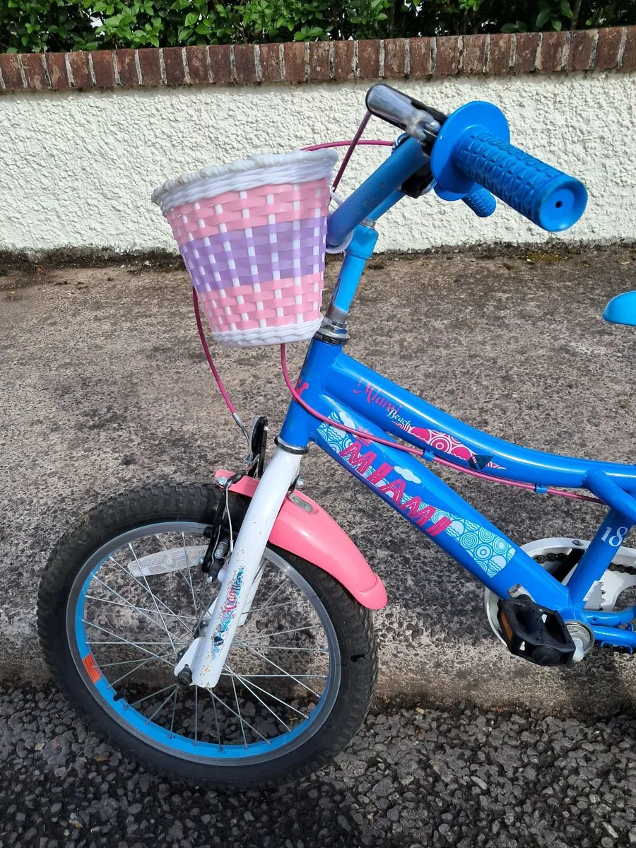 Kid's Bike: 18 Inch Miami Bike - Image 2