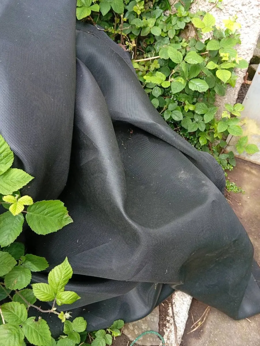 10 ft trampoline parts free to take - Image 3