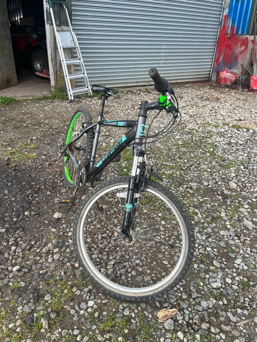 Mountain bike - Image 1