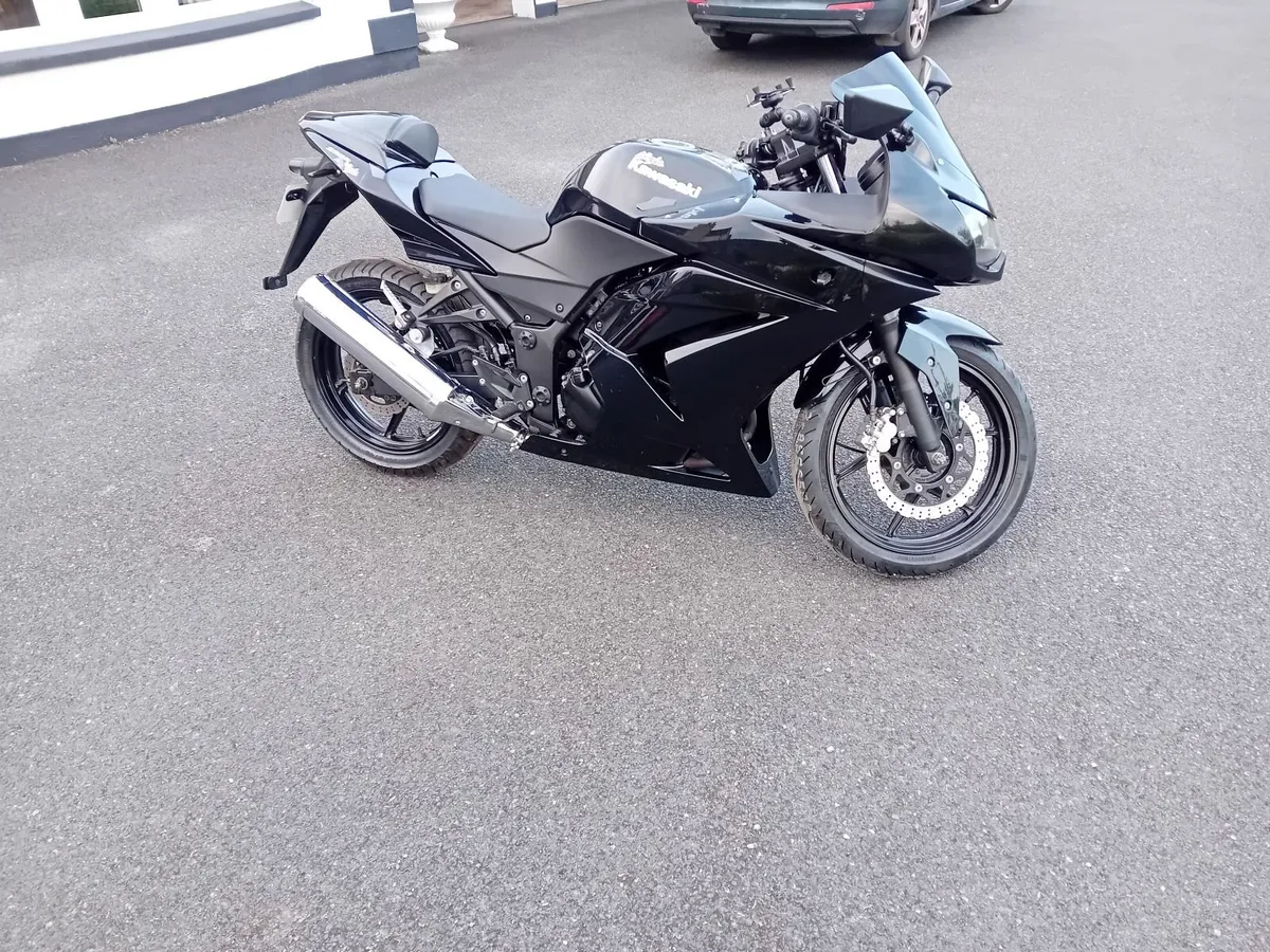 Kawasaki Ninja 2010 - Image 1