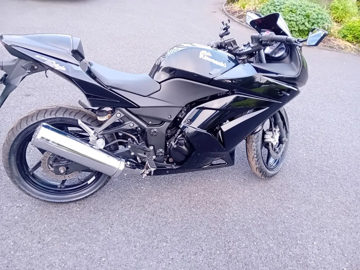 Kawasaki Ninja 2010 - Image 2