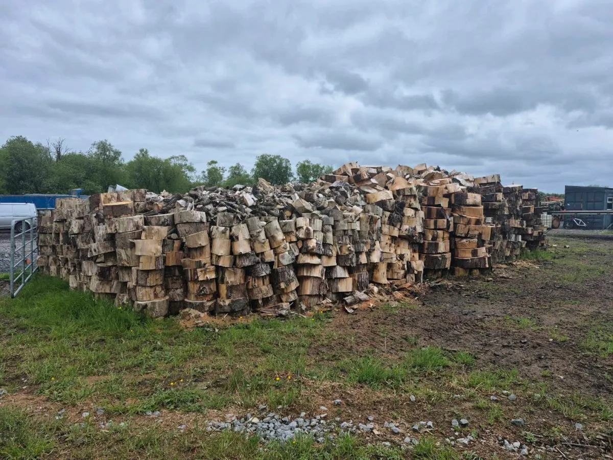Firewood - Image 2