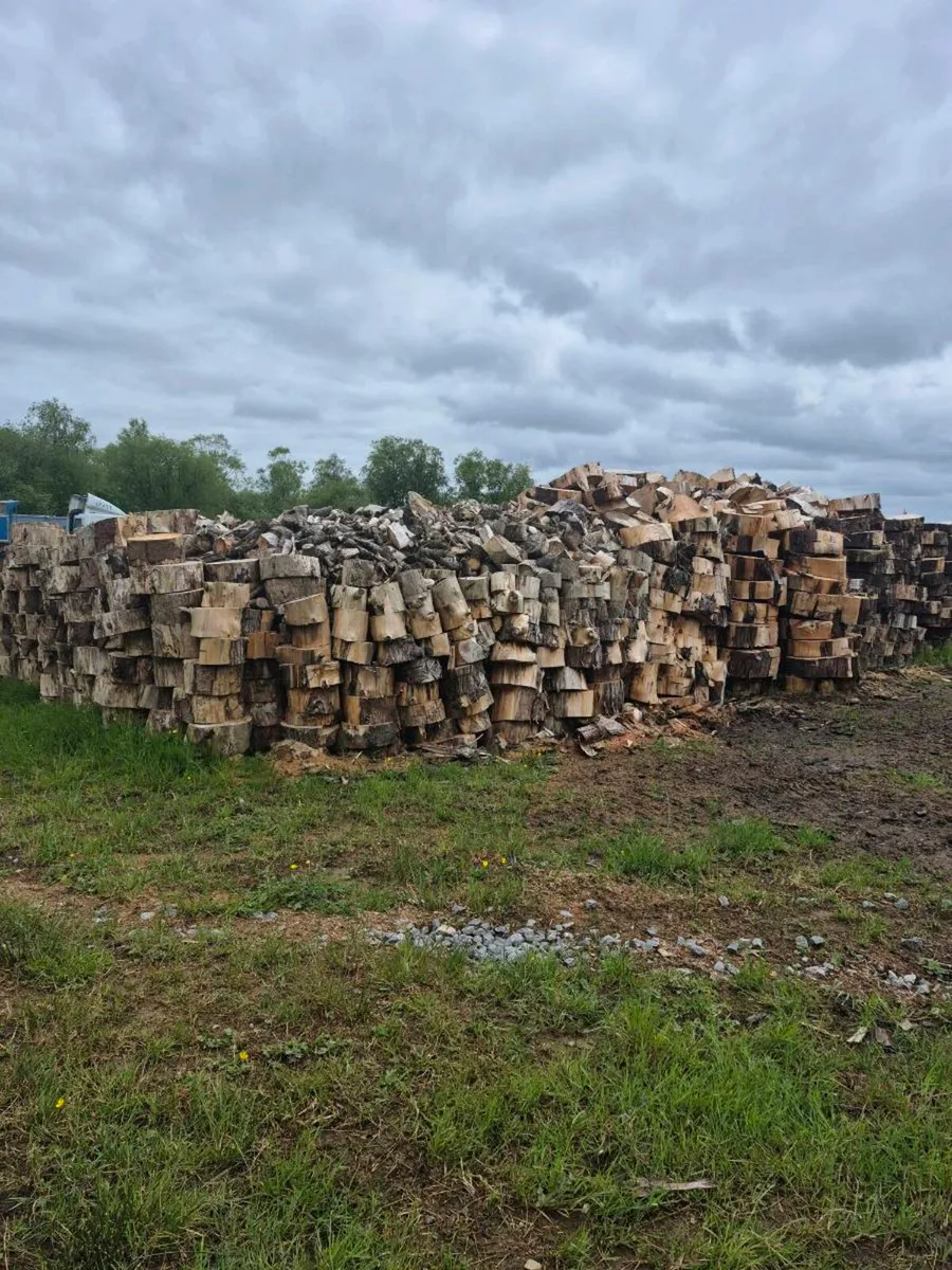 Firewood - Image 3