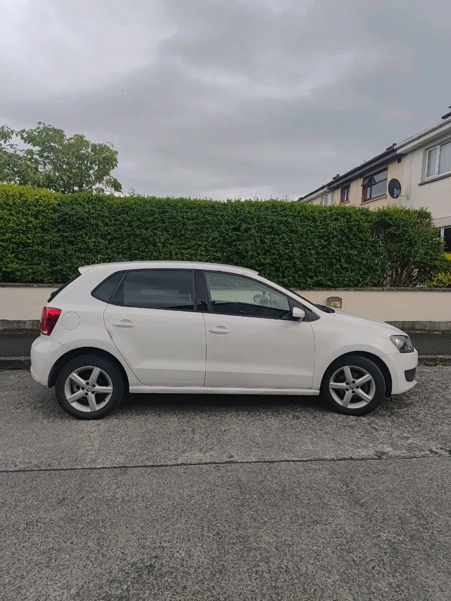 141 Polo Automatic - Image 2