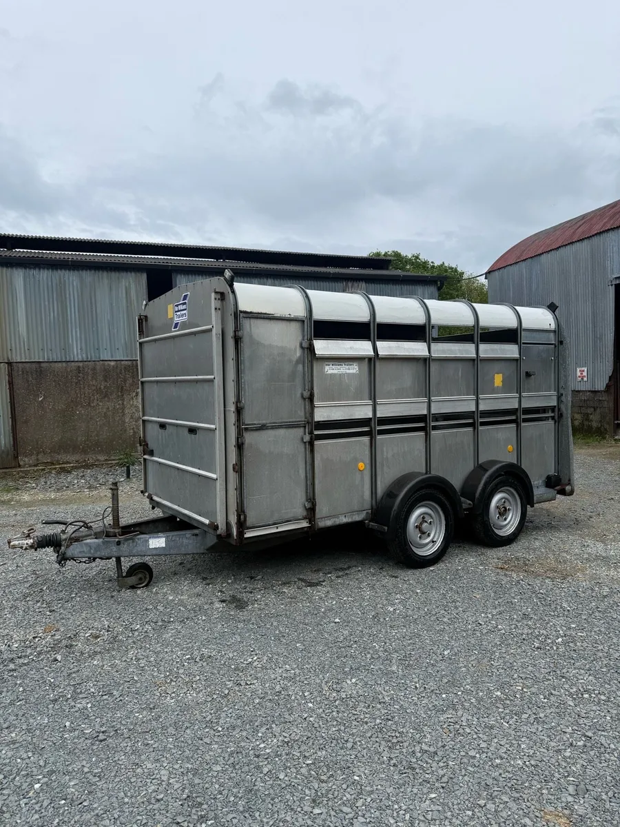 Ifor Williams 12 x 6 ft cattle trailer - Image 2