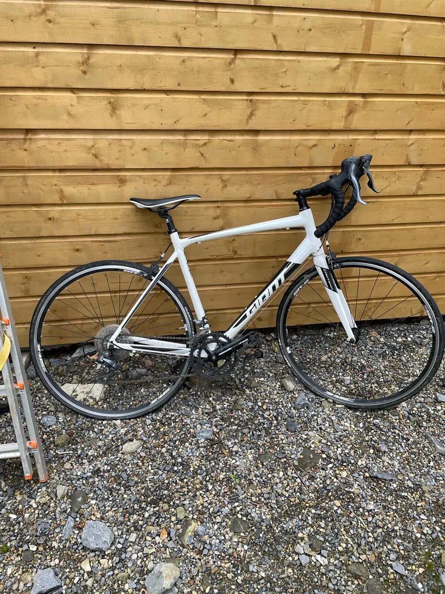 Giant Racing Bike - Image 1