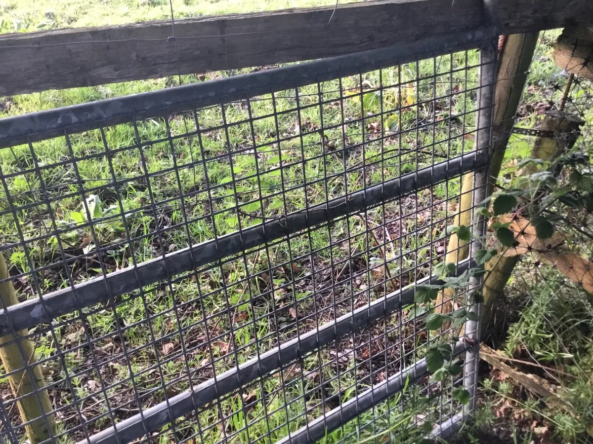 Galvanised 12 foot gate with full mesh - Image 2