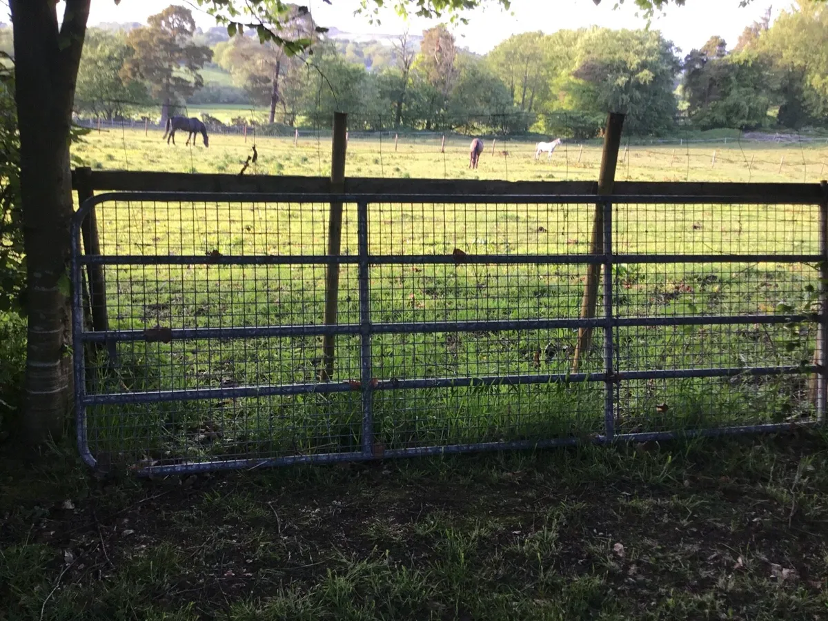 Galvanised 12 foot gate with full mesh - Image 4
