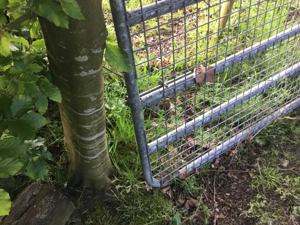 Galvanised 12 foot gate with full mesh - Image 3