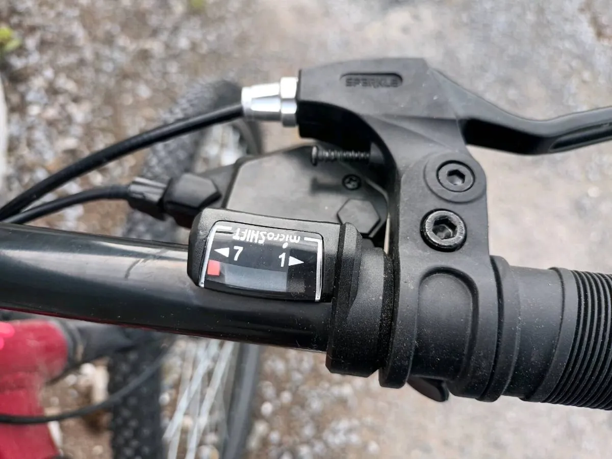 Bicycle - Image 3