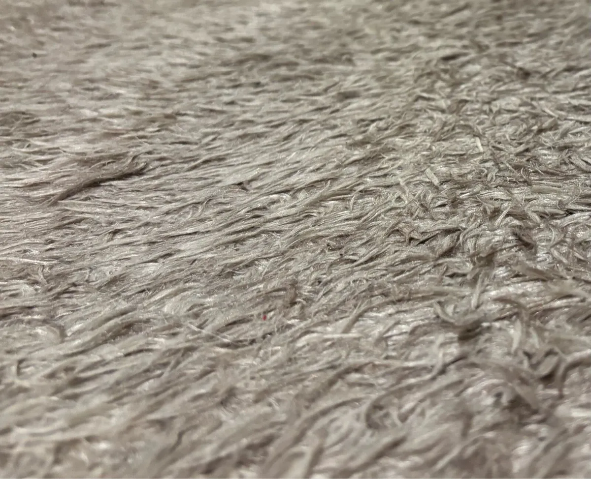Carpet - Image 2