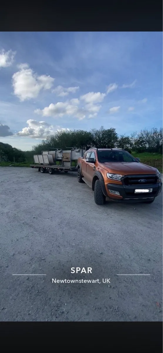 Sheep shearing service - Image 1