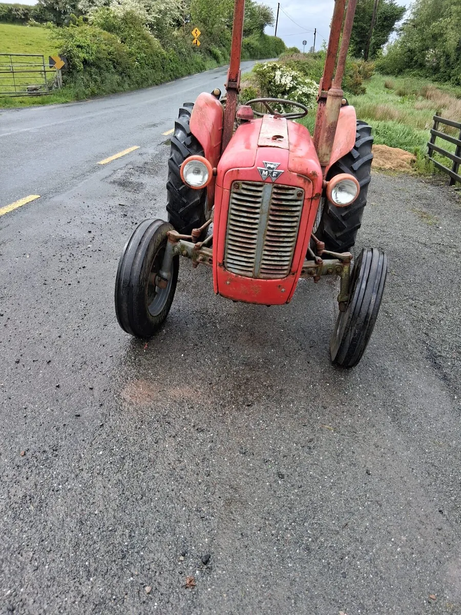 Massey furguson 35 - Image 3