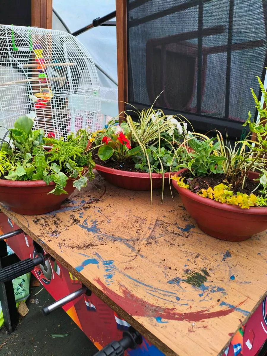 Beautiful pots freshly made can drop 2 for 25 - Image 3