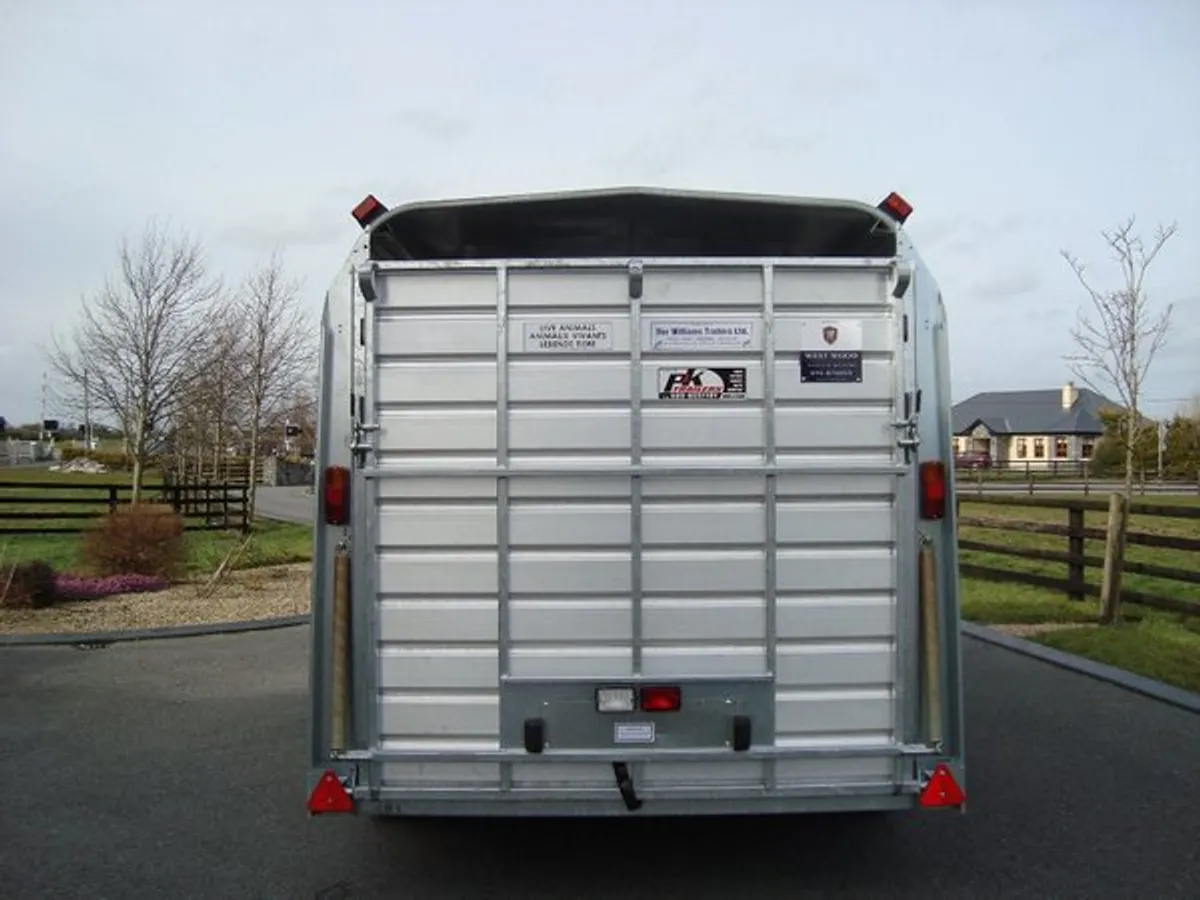 PK'S-IFOR WILLIAMS 14X5'10'' TRI-AXLE - Image 3